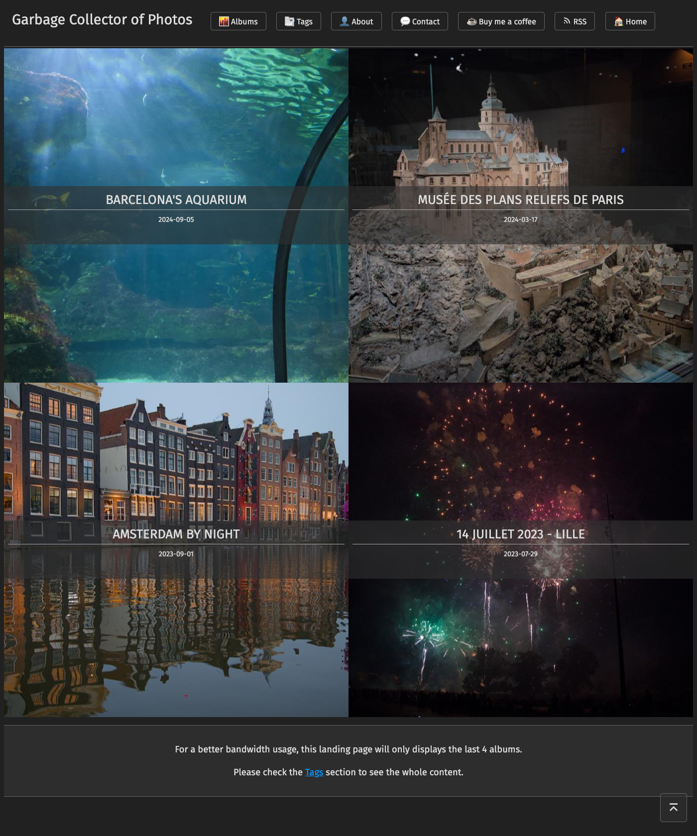 Screenshot of Garbage Collector Photo Blog Theme