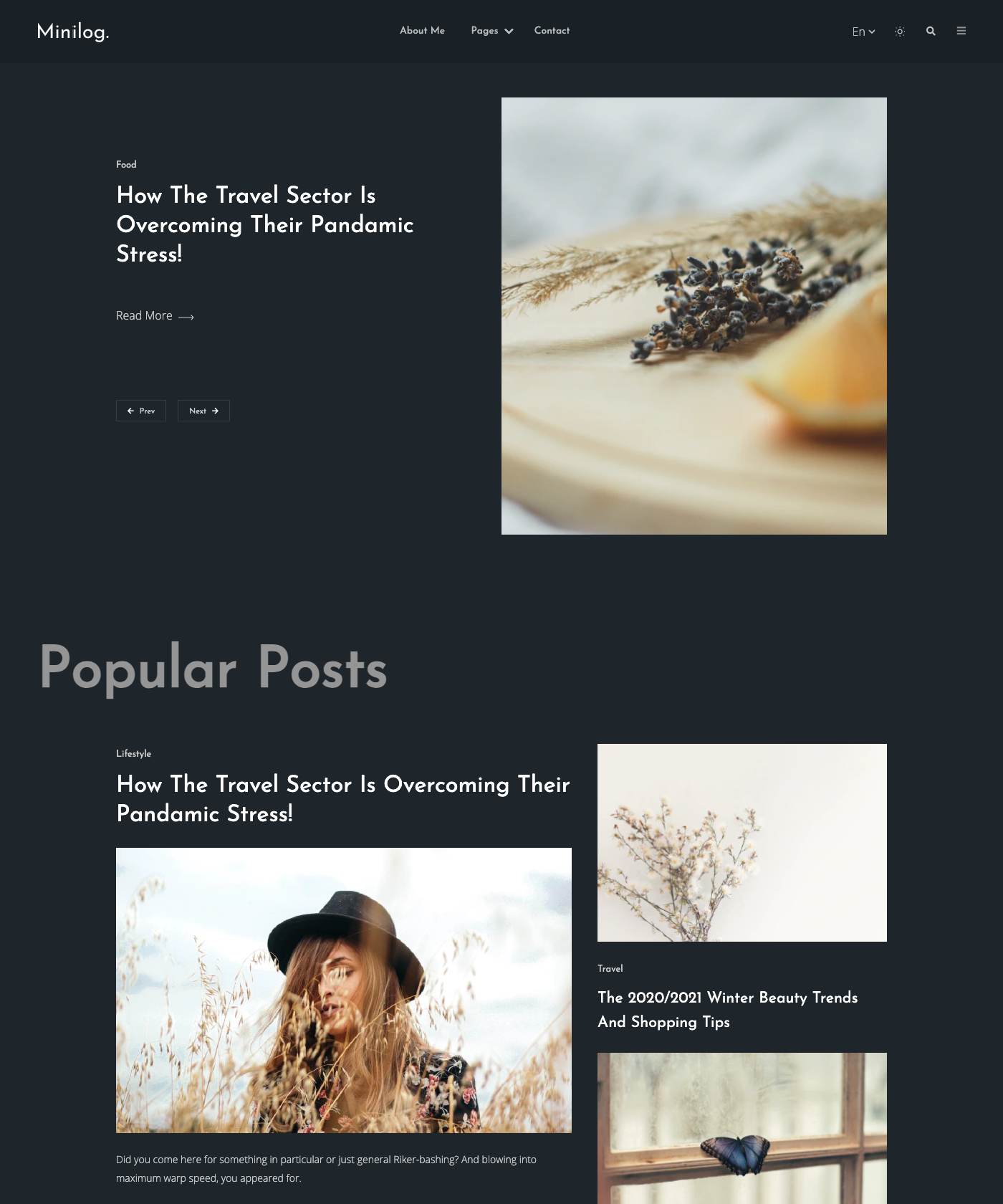 Screenshot of Minilog Hugo