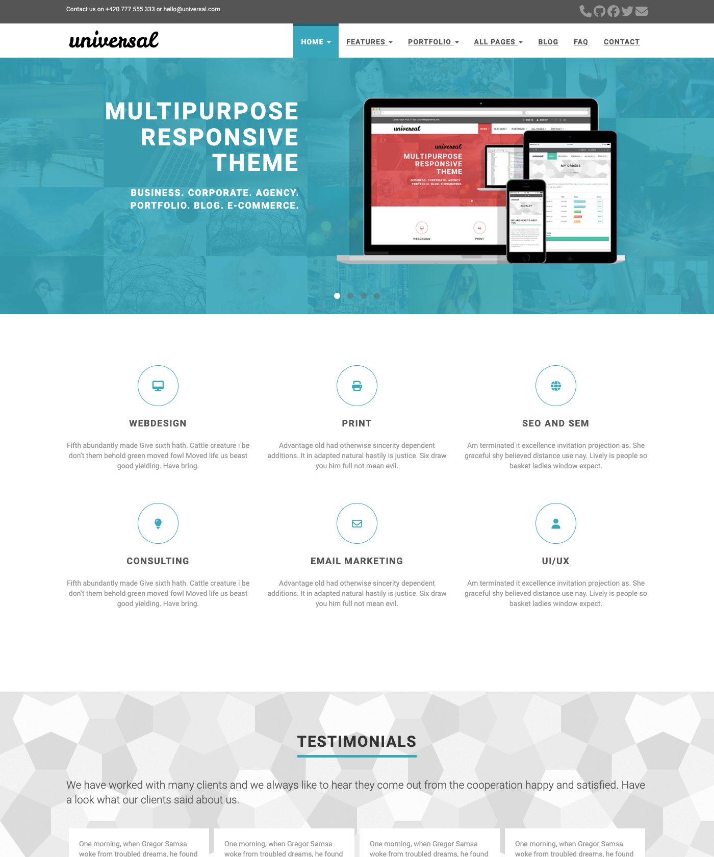 Screenshot of Hugo Universal Theme