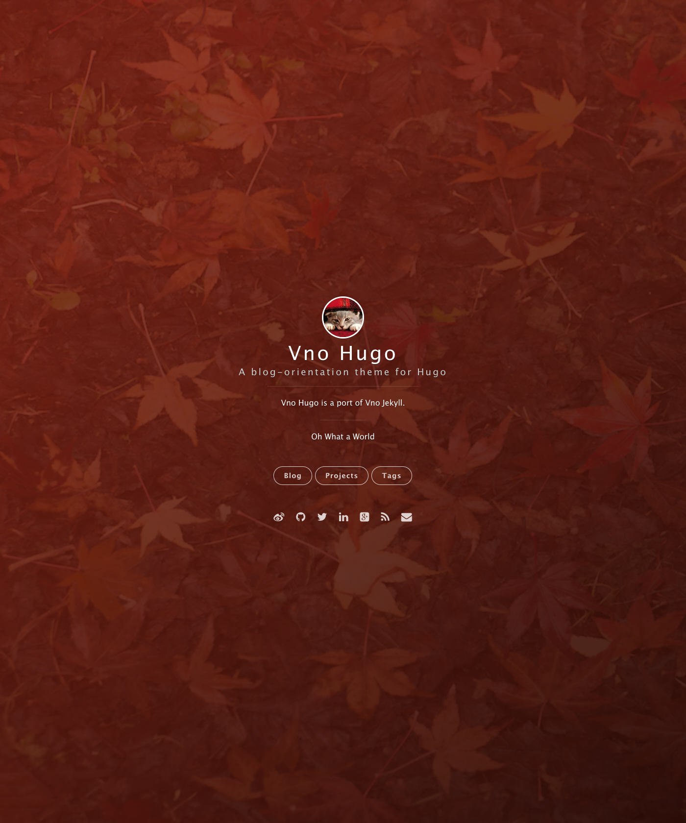 Screenshot of Vno Hugo